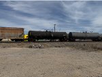 UTLX 669813